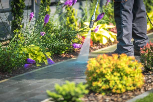  Hinckley, IL Pressure Washing Pros