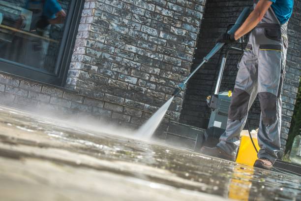 Best Roof Washing  in Hinckley, IL