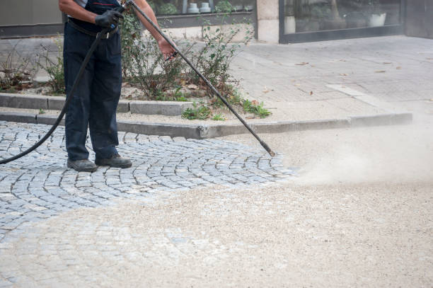 Best Sidewalk and Walkway Cleaning  in Hinckley, IL