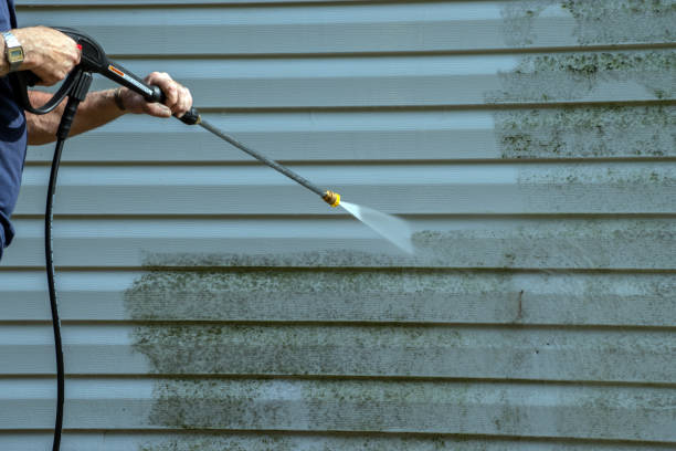 Best Driveway Pressure Washing  in Hinckley, IL