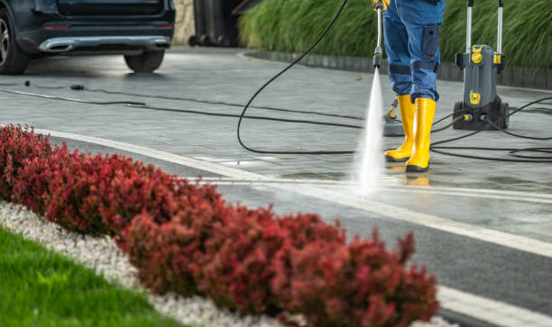 Best Dumpster Area Cleaning  in Hinckley, IL